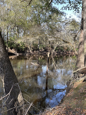 [Staten Road other, Withlacoochee River @ Staten Road 2023-12-14]