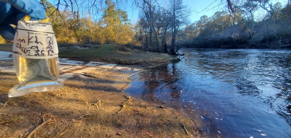 Sample, Nankin Boat Ramp, Withlacoochee River @ Clyattville-Nankin Road 2024-01-04