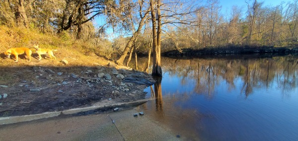 State Line Boat Ramp downstream, Withlacoochee River @ Madison Highway 2024-01-04