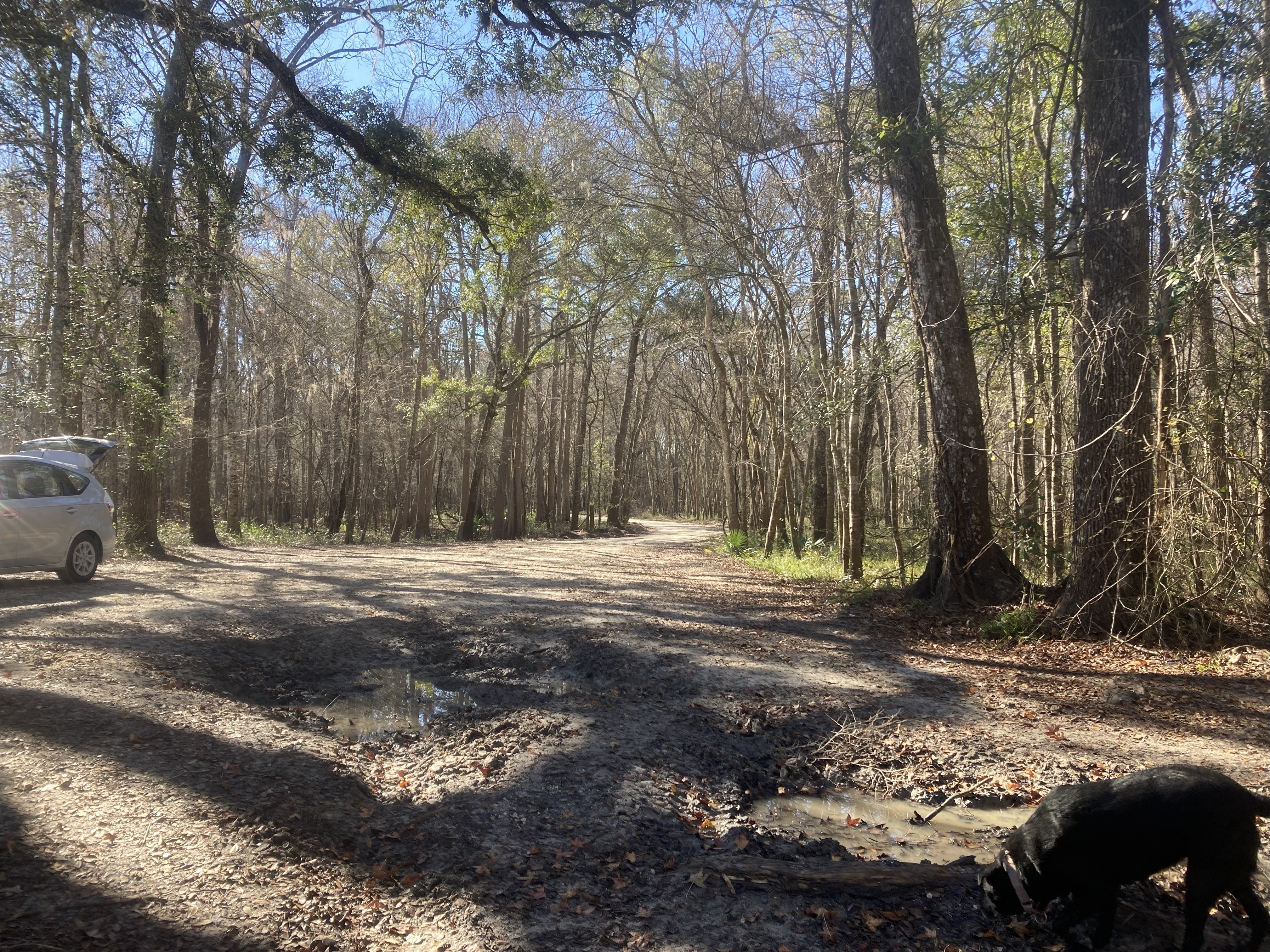 Road, Eddins Ramp, Santa Fe River @ NE 70th Street 2024-01-04