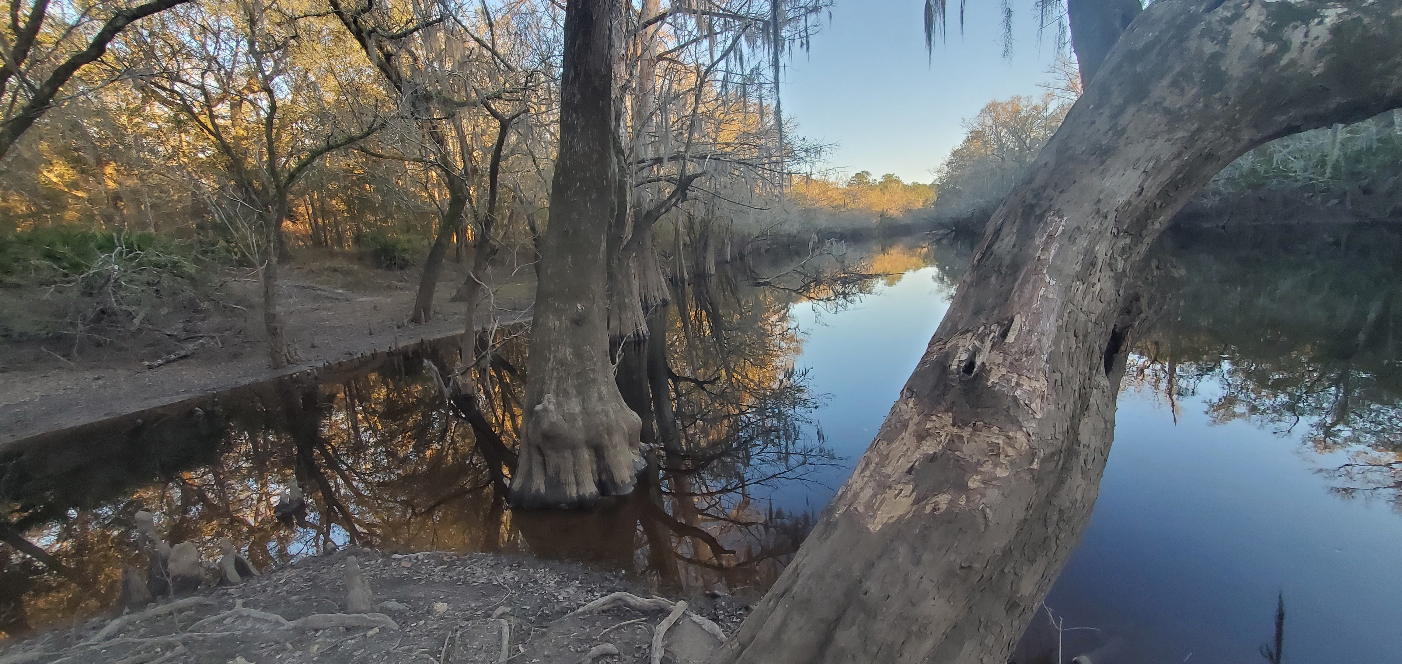 Knights Ferry Boat Ramp downstream, Withlacoochee River @ Knights Ferry Road 2024-01-04