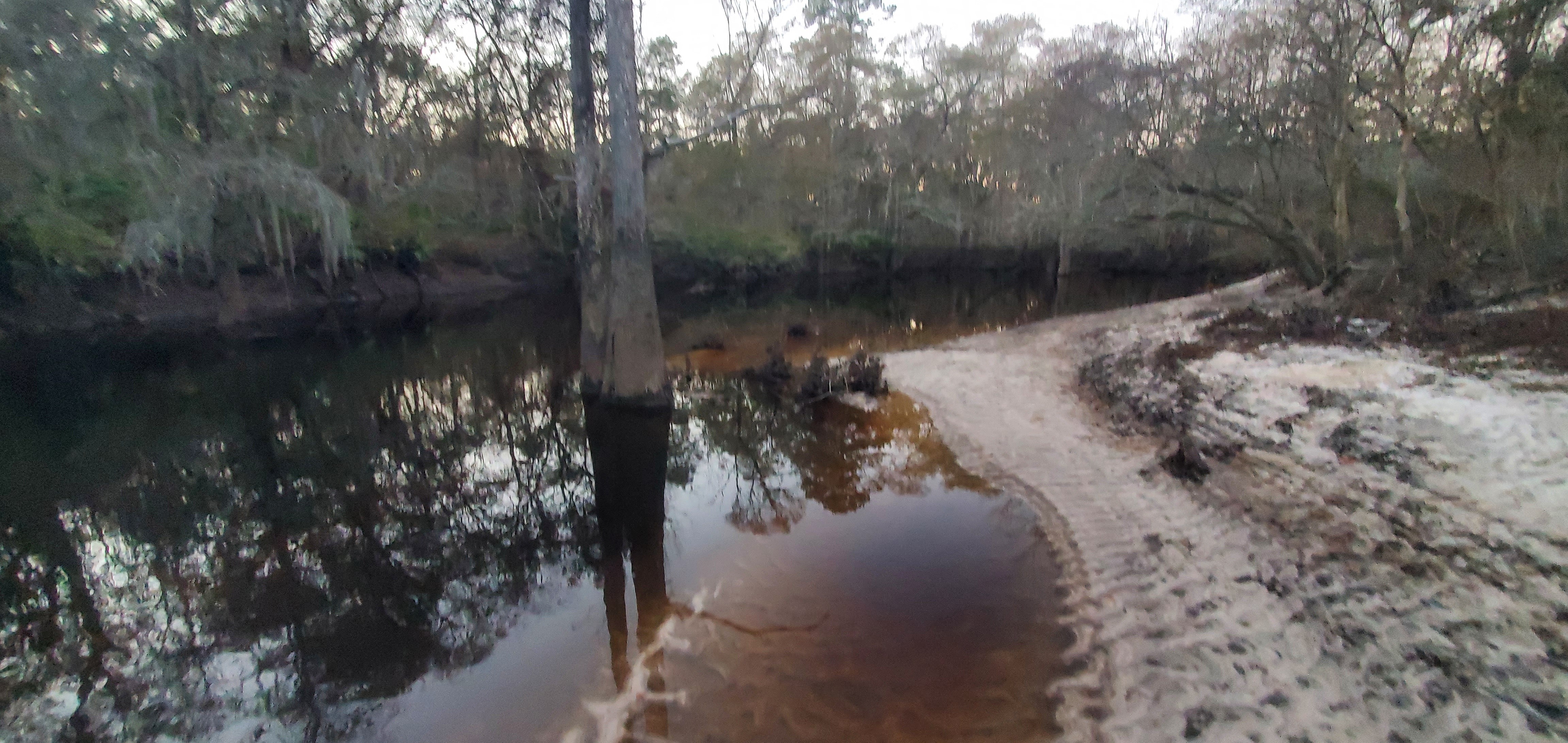 Langdale Park Boat Ramp upstream, Withlacoochee River @ North Valdosta Road 2024-01-04