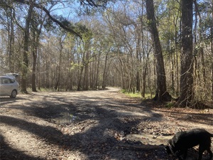 [Road, Eddins Ramp, Santa Fe River @ NE 70th Street 2024-01-04]