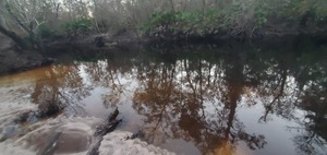 [Across, Langdale Park Boat Ramp, Withlacoochee River @ North Valdosta Road 2024-01-04]