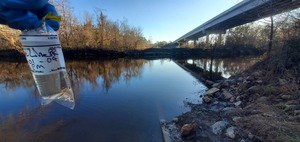 [Sample, State Line Boat Ramp, Withlacoochee River @ Madison Highway 2024-01-04]