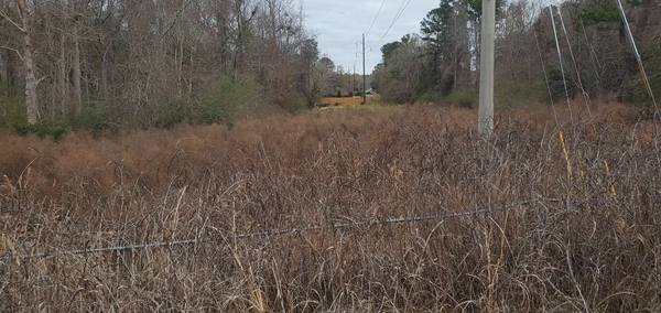 [Knob Hill Road seen from Pebblewood Drive deention pond, 12:44:22, 30.8755320, -83.3136910]