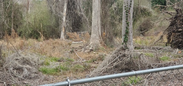 [Fence, Manhole, Deadfall, to Three Mile Branch, 2809 Pebblewood Drive, 13:03:37, 30.8751850, -83.3103560]