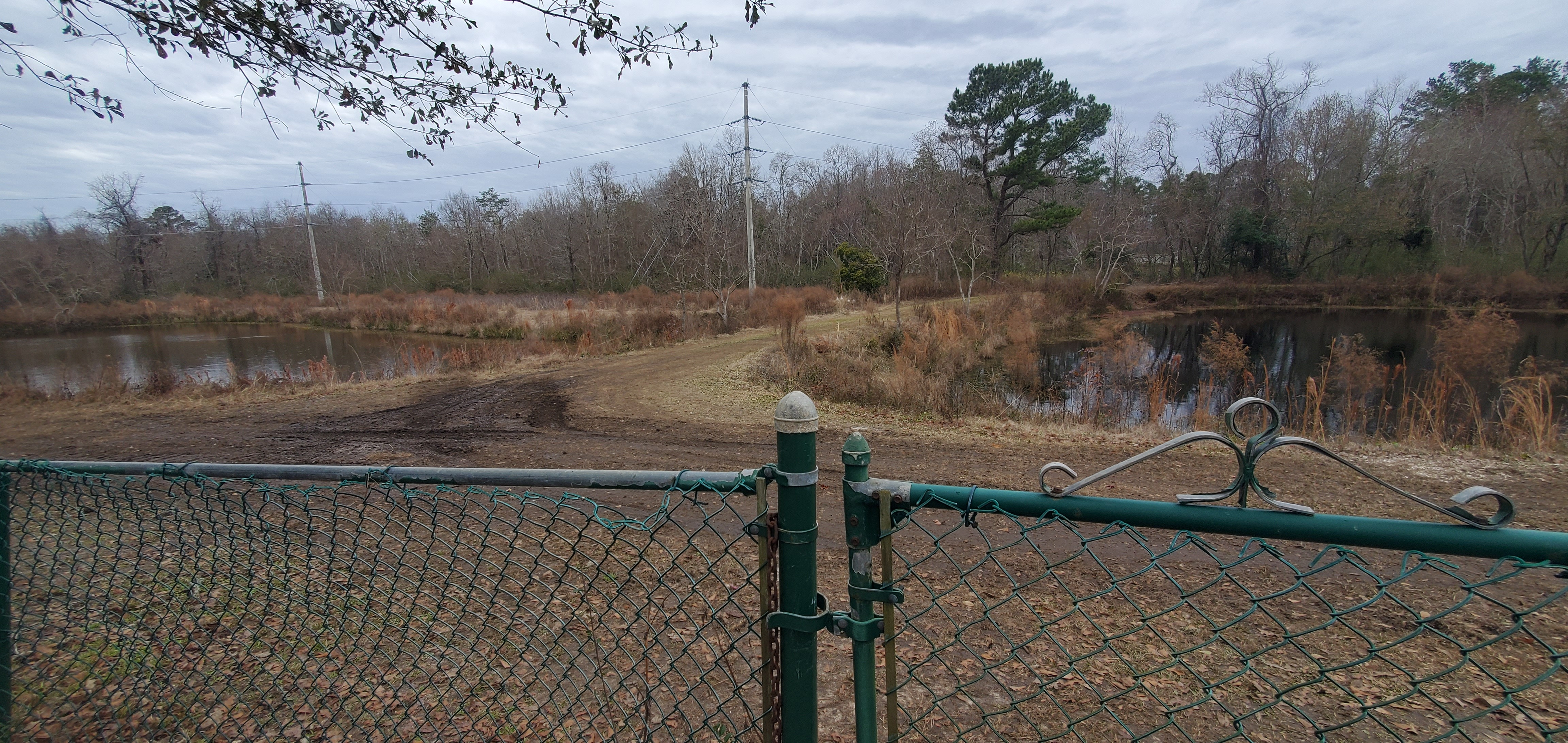 Between the two Pebblewood Drive detention ponds, 12:48:09, 30.8753291, -83.3140656