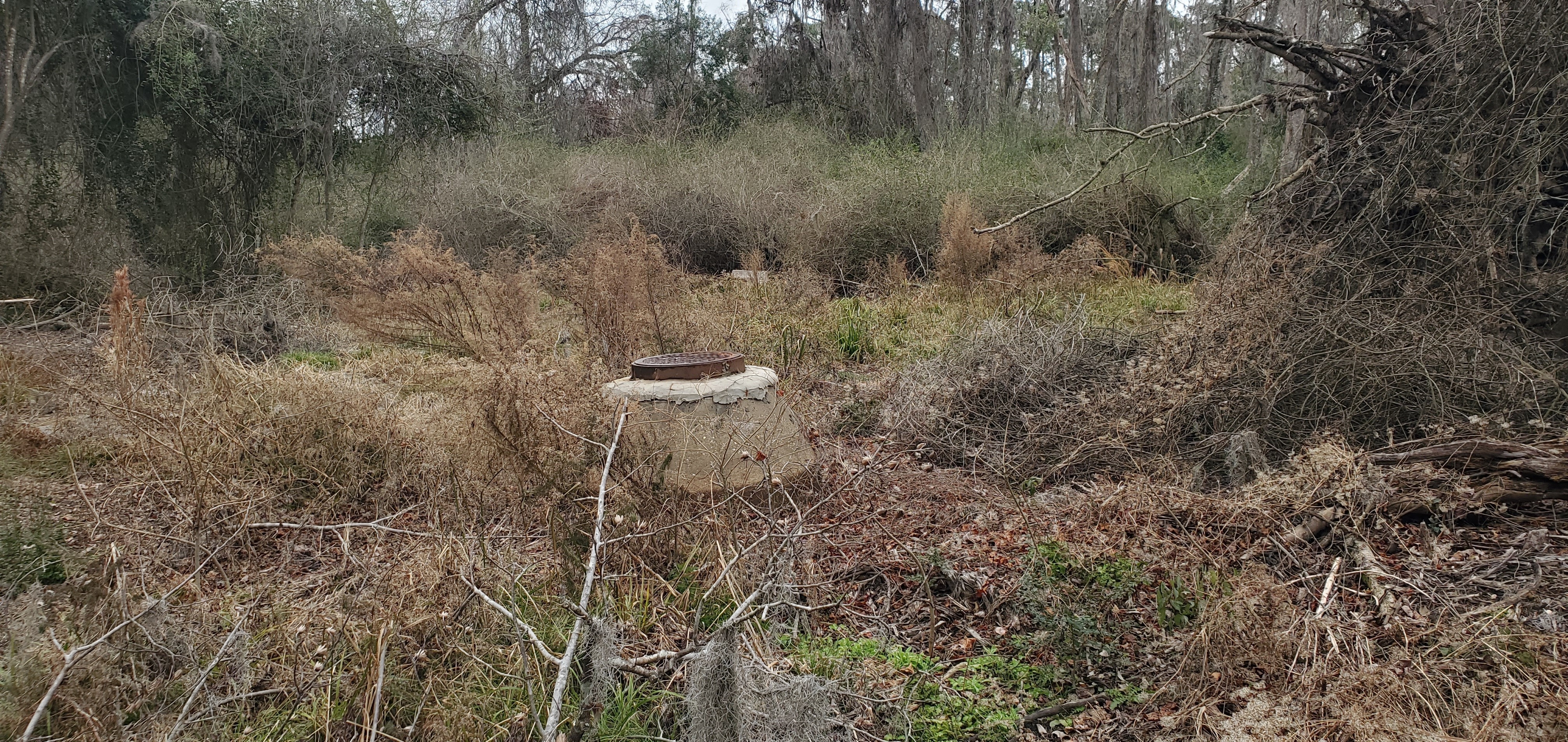 Closeup Manhole, 2809 Pebblewood Drive, 13:02:21, 30.8755953, -83.3103353