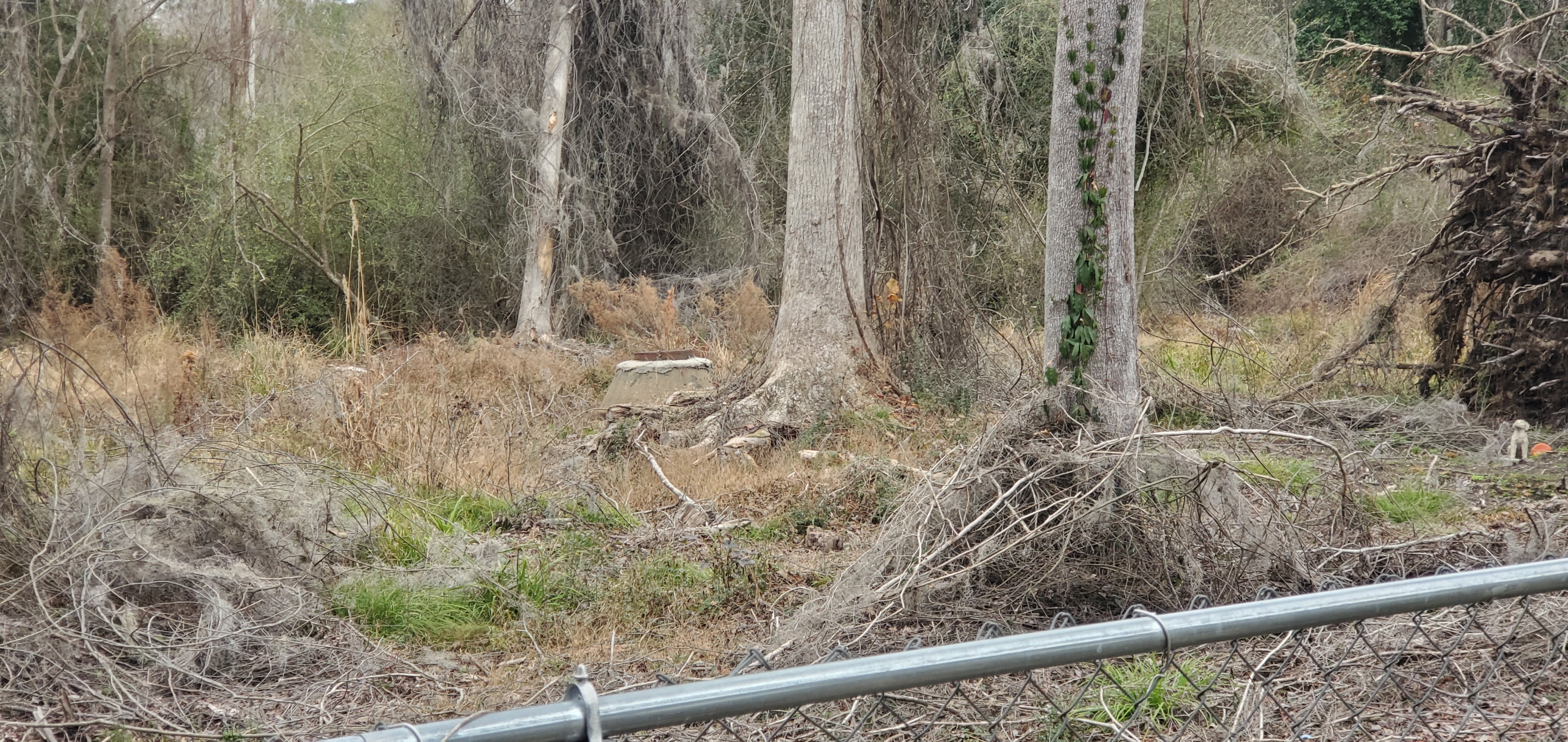 Fence, Manhole, Deadfall, to Three Mile Branch, 2809 Pebblewood Drive, 13:03:37, 30.8751850, -83.3103560