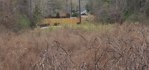 [Knob Hill Road spill site is near the foreground power pole, 12:44:35, 30.8755320, -83.3136910]