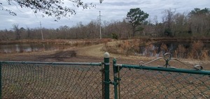 [Between the two Pebblewood Drive detention ponds, 12:48:09, 30.8753291, -83.3140656]