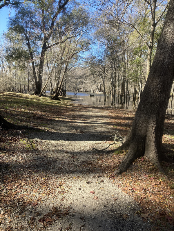 [Point Park, Ichetucknee River @ SW Riverside Ave. 2024-01-10]