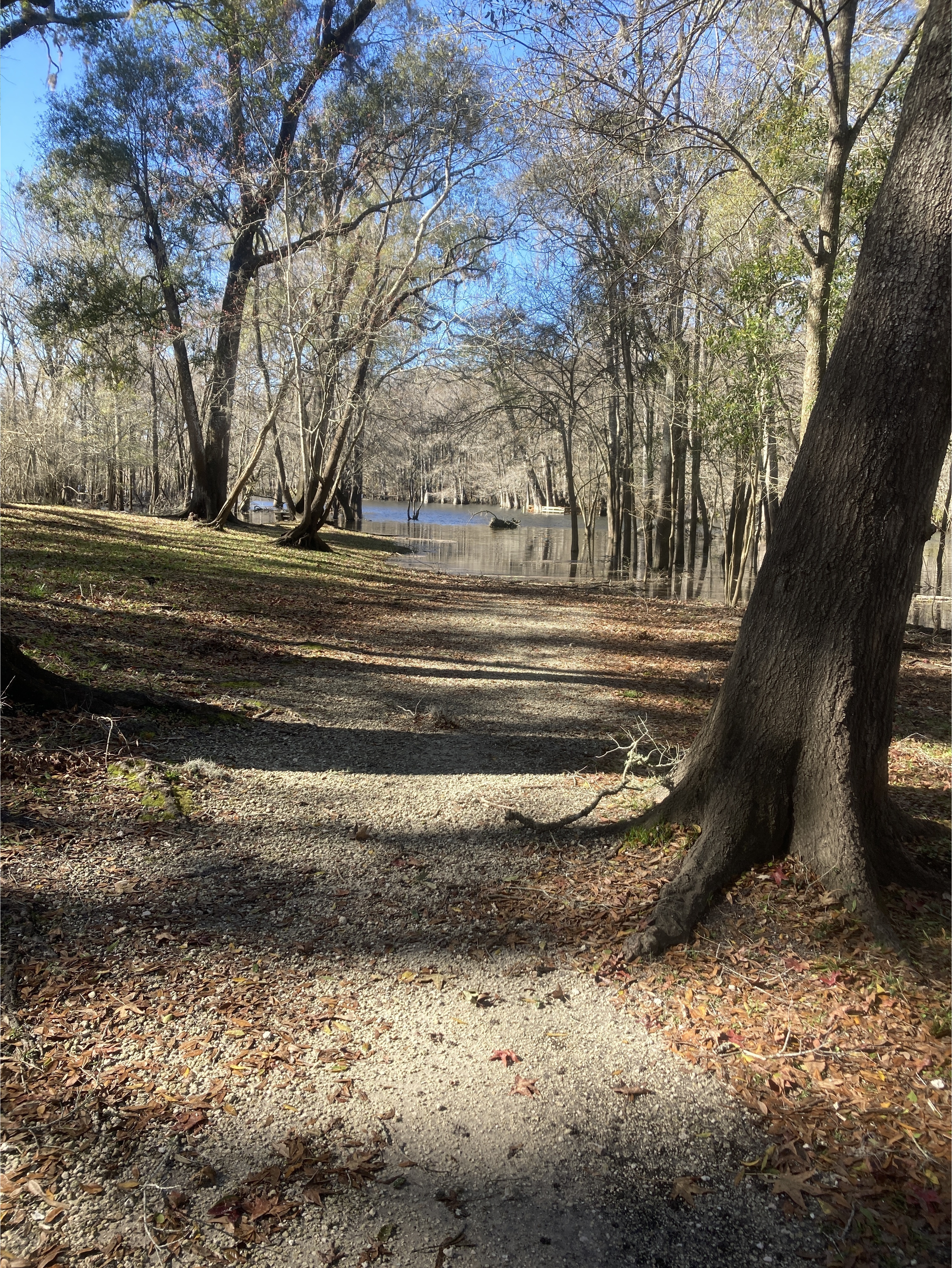 Point Park, Ichetucknee River @ SW Riverside Ave. 2024-01-10