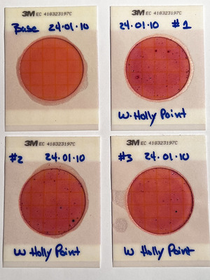 [Plates, Holly Point 2024-01-10]