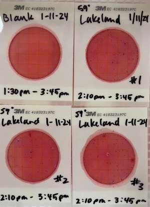 [Plates, Lakeland Boat Ramp 2024-01-11]