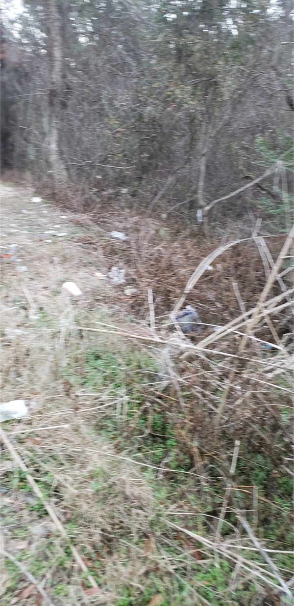 Trash, Vann Road, Mud Swamp Creek 2024-01-24