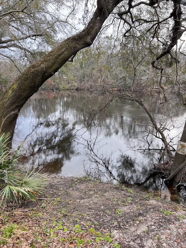 [Holly Point, Withlacoochee River @ NE Withla Bluffs Way 2024-01-25]