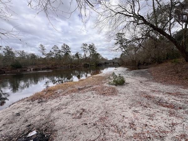 [Naylor Park Beach, Alapaha River @ US 84 2024-01-25]