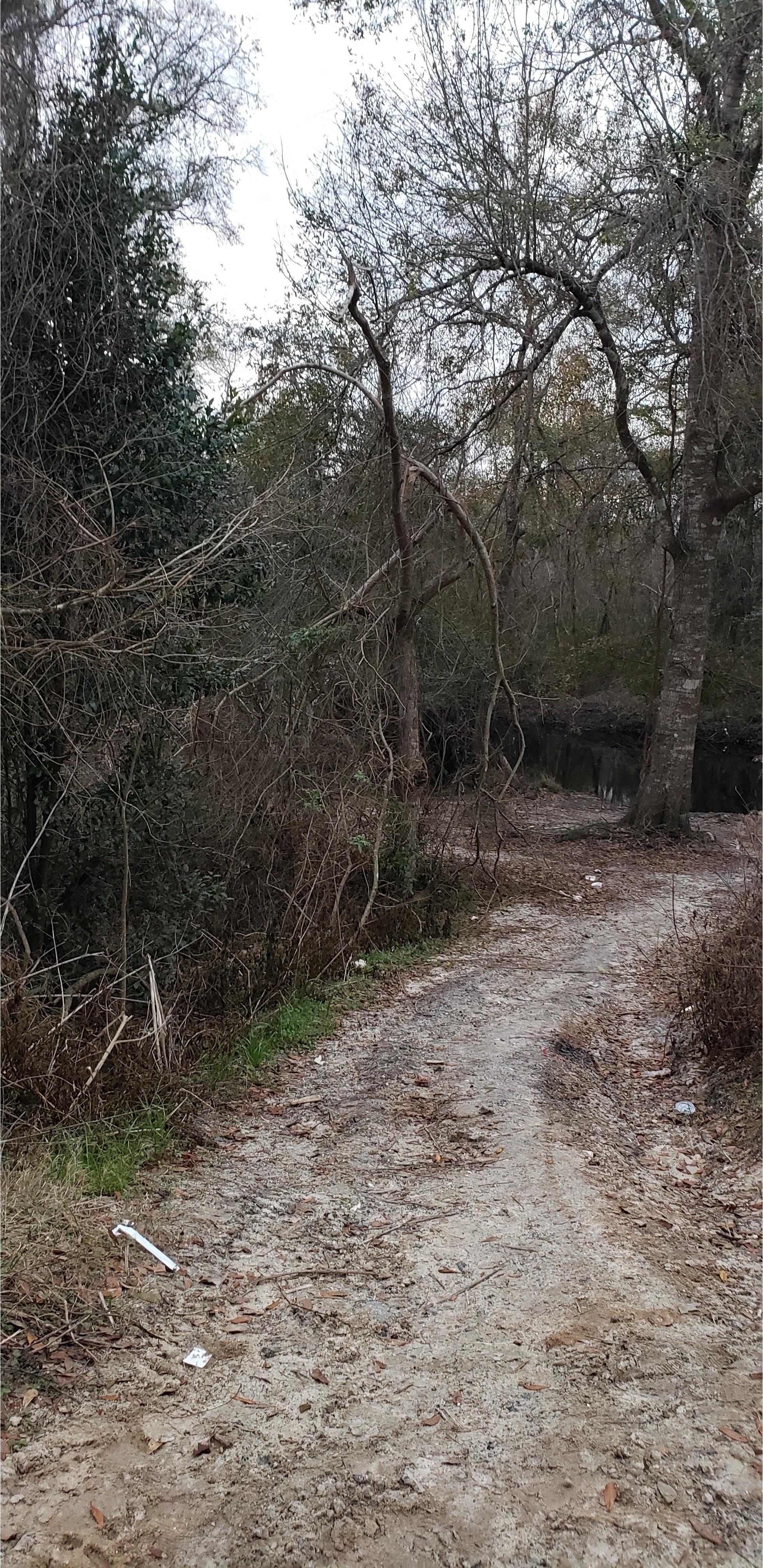 Access, Vann Road, Mud Swamp Creek 2024-01-24