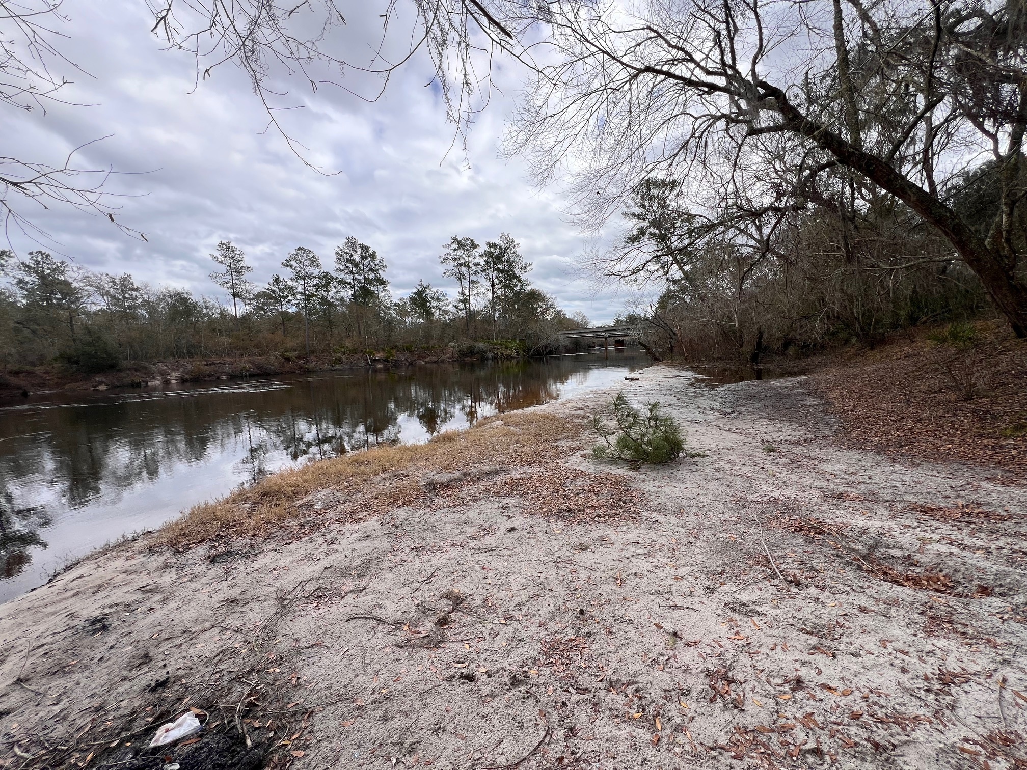 Naylor Park Beach, Alapaha River @ US 84 2024-01-25