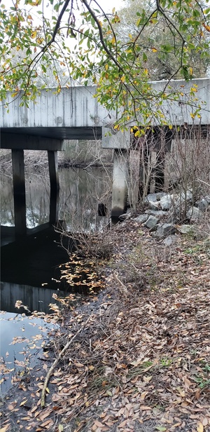 [Abutment, Vann Road, Mud Swamp Creek 2024-01-24]