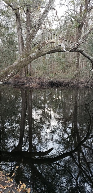 [Across, Vann Road, Mud Swamp Creek 2024-01-24]