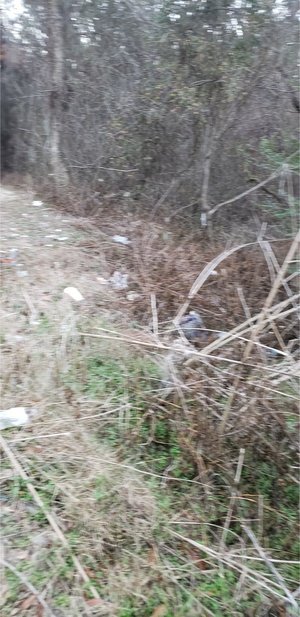 [Trash, Vann Road, Mud Swamp Creek 2024-01-24]