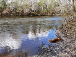 [Allen Ramp, Withlacoochee River @ 2726 SW 64th Way Jasper, FL 32052 2024-01-25]