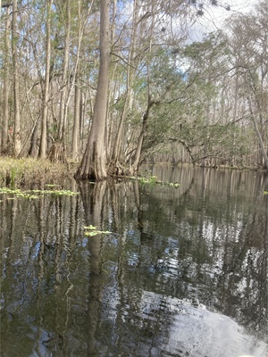 [Point Park other, Ichetucknee River @ SW Riverside Ave. 2024-01-25]