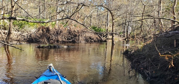 Into the little slough, 11:23:04, 30.8786326, -83.3246305