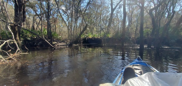 [River overlook and Three Mile Branch Confluence, 11:36:38, 30.8755688, -83.3232229]