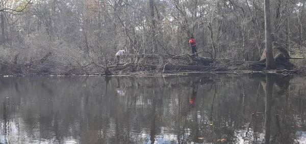 [Movie: Don't try this at home: Phil and Russell on a deadfall, 30.8734471, -83.3249284 (40M)]