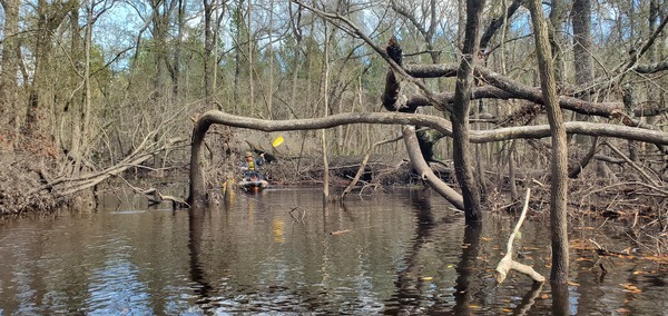 [Shawn exiting duck box slough, 13:35:12, 30.8714284, -83.3231498]