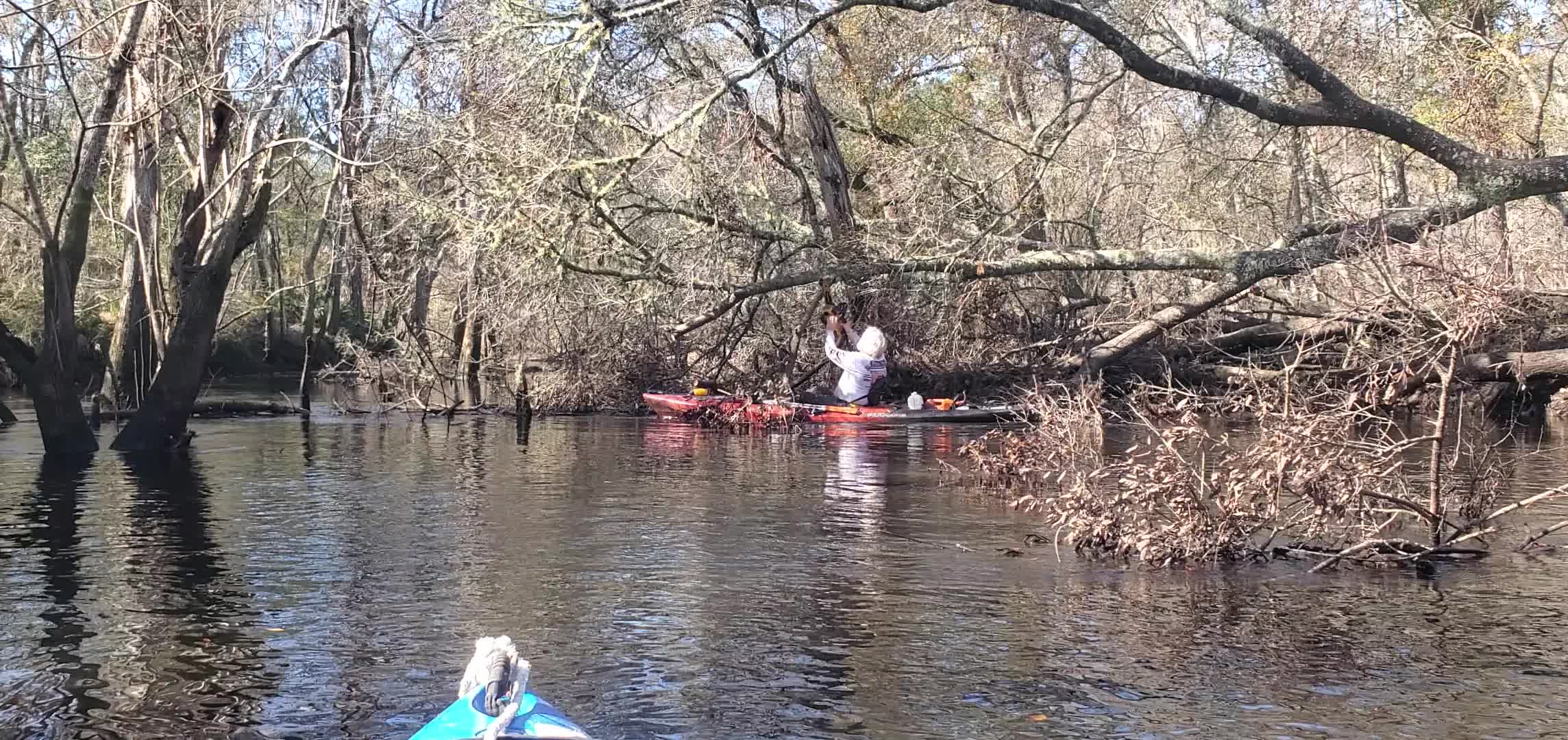 Movie: Phil sawing over his head, 10:53:52, 30.8814561, -83.3254131 (26M)