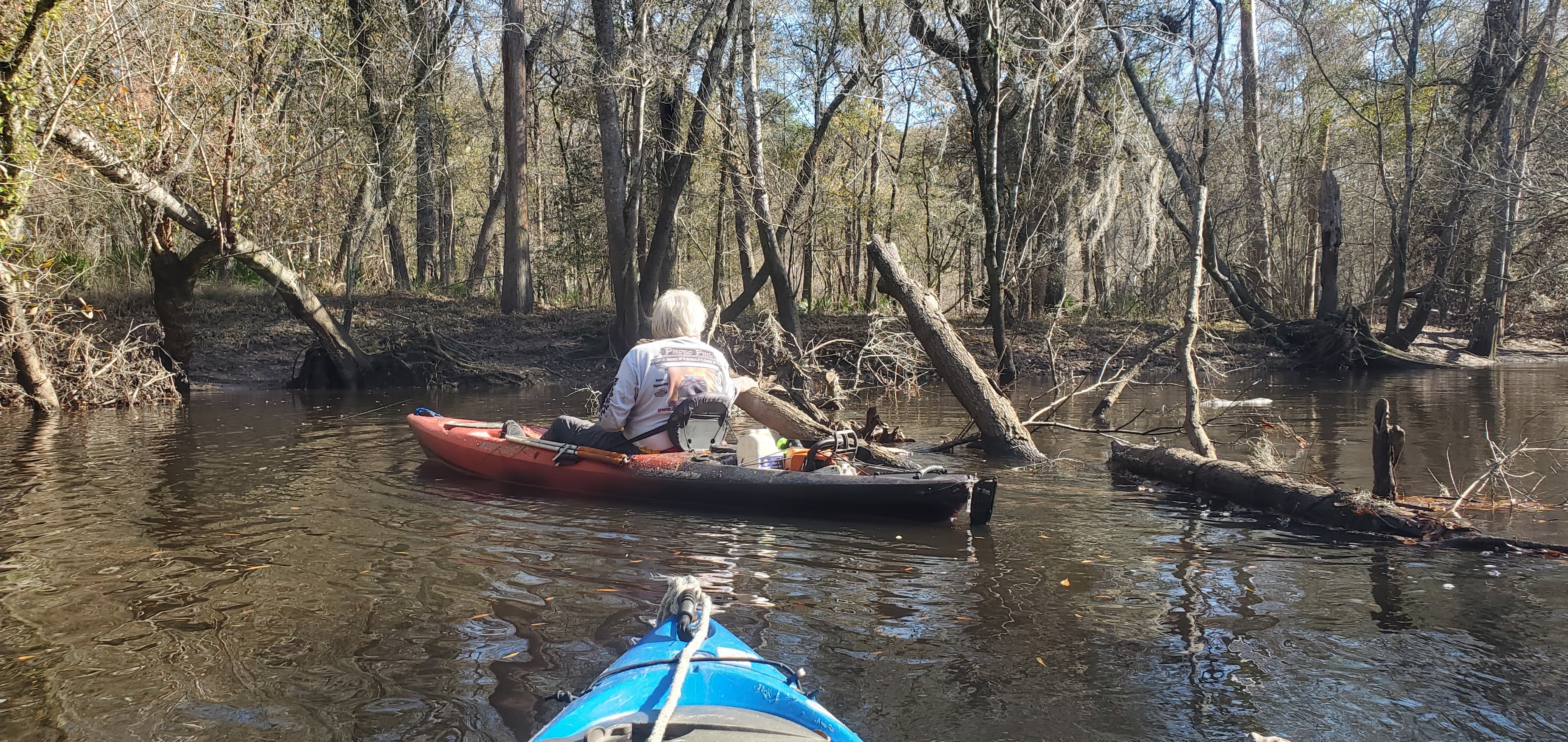 Phil pruning, 11:05:47, 30.8795160, -83.3262788