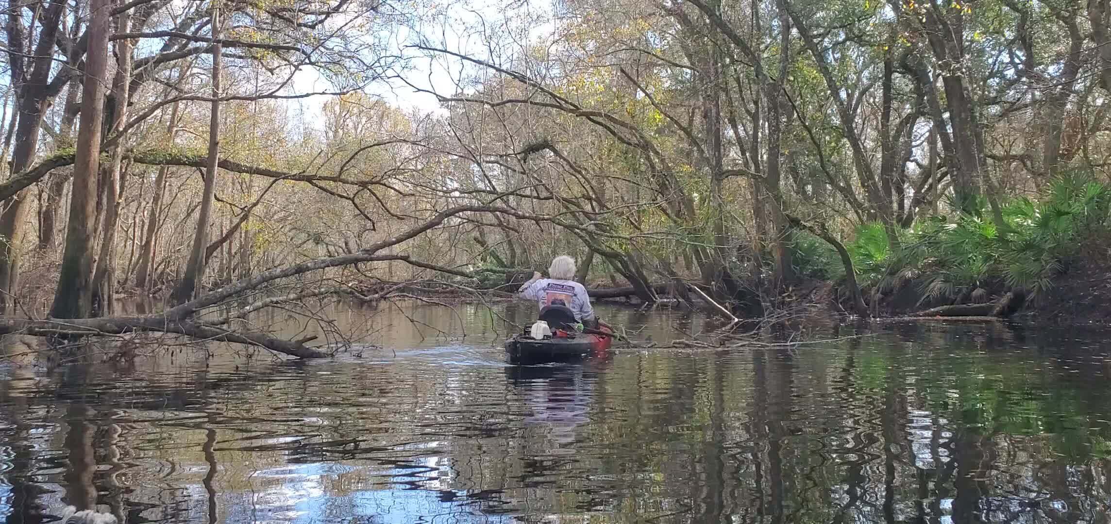 Movie: Phil segmenting a small deadfall, 30.8714284, -83.3231498 (52M)