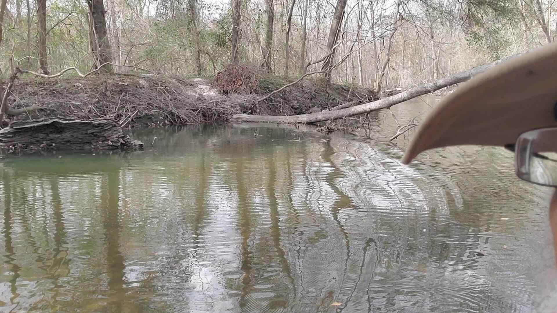 Movie: Float under this Sugar Creek deadfall, 30.8642580, -83.3199785 (7.8M)