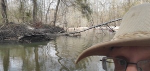 [Float under Deadfall, Sugar Creek, 14:42:56, 30.8642580, -83.3199785]