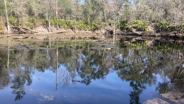 Movie: Into, O'Leno Sink, Santa Fe River @ O'Leno Park Road 2024-02-01