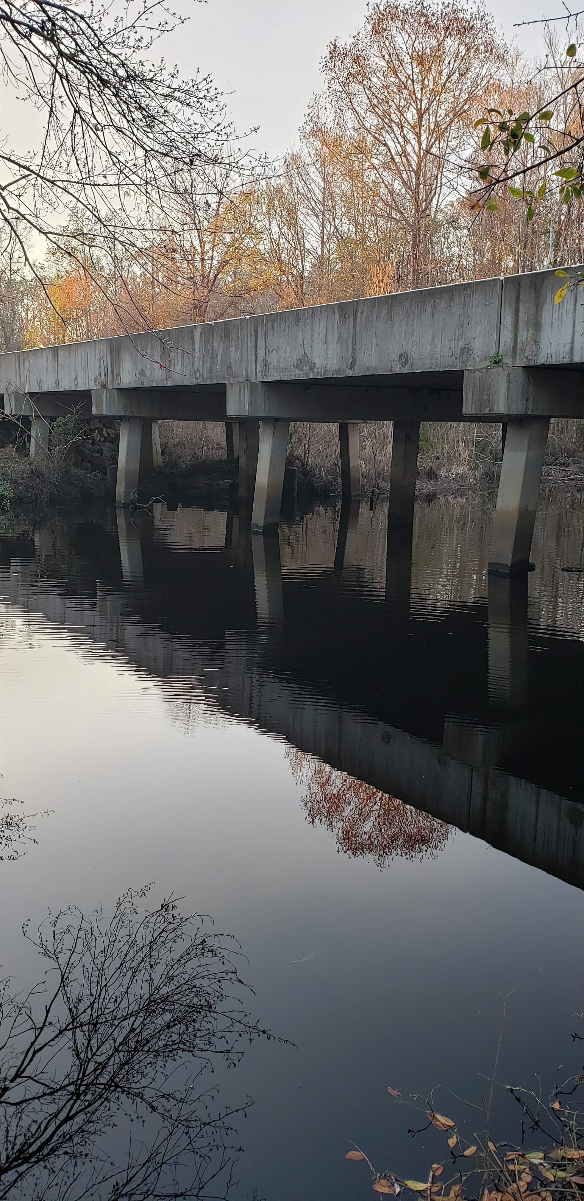 Vann Road, Mud Swamp Creek 2024-01-31