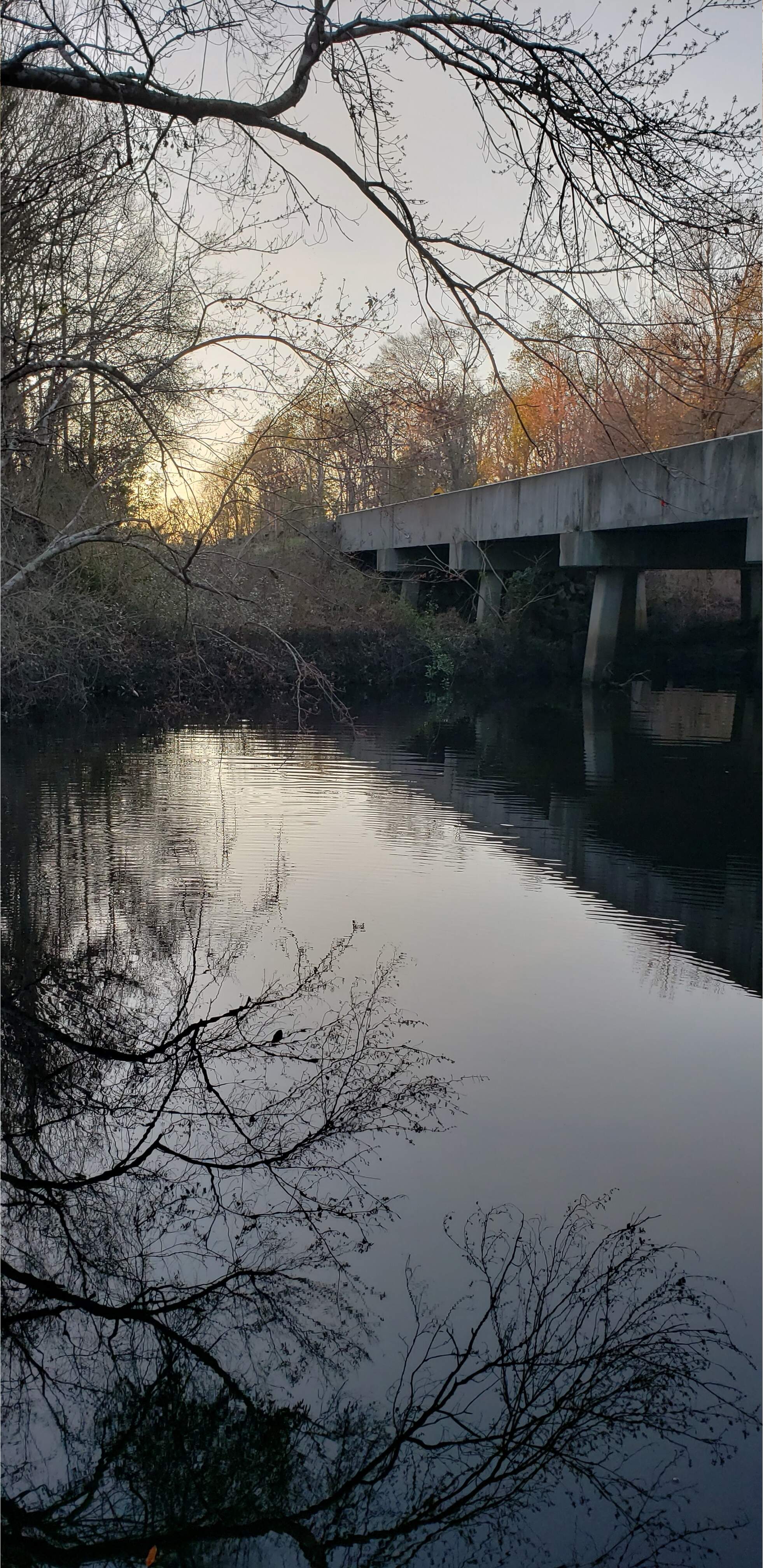 Sunset, Vann Road, Mud Swamp Creek 2024-01-31