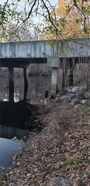 [Abutment, Vann Road, Mud Swamp Creek 2024-01-31]