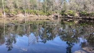 [Movie: Into, O'Leno Sink, Santa Fe River @ O'Leno Park Road 2024-02-01]