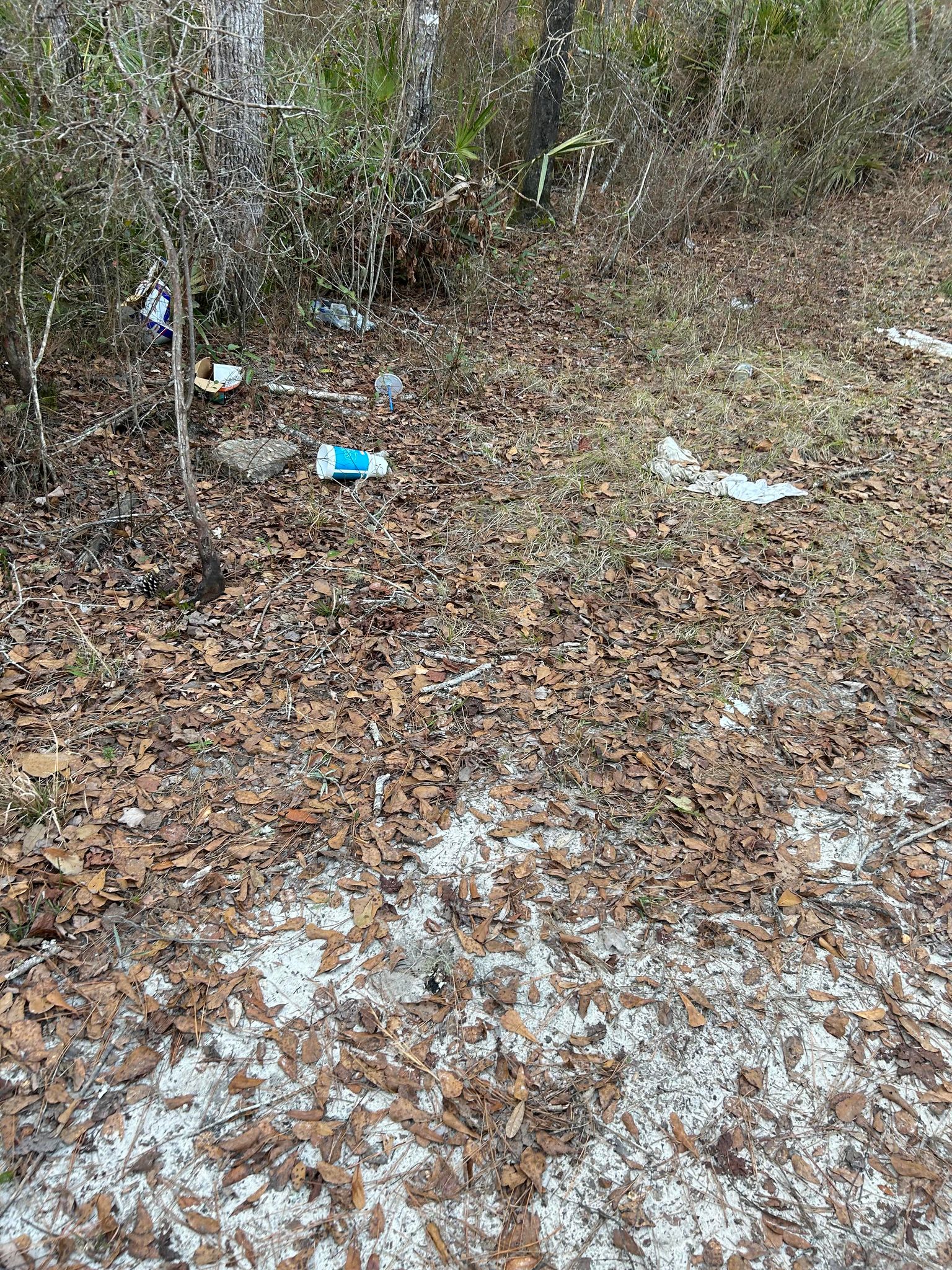 Trash along the path