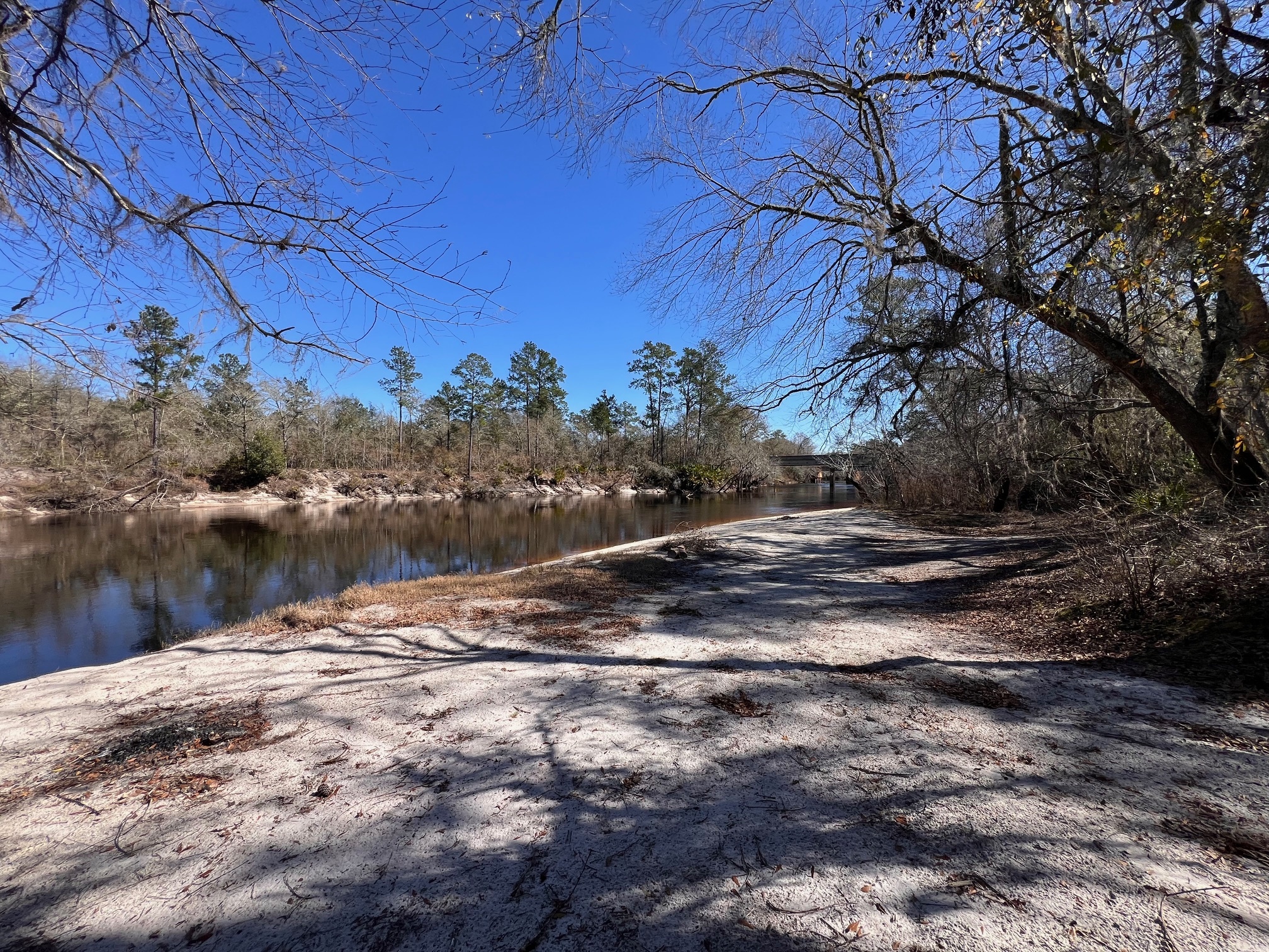 Naylor Park Beach, Alapaha River @ US 84 2024-02-07