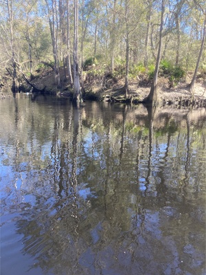 [River, O'Leno Dock, Santa Fe River @ O'Leno Park Road 2024-02-07]