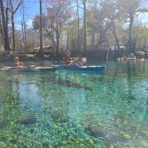 [Blue Spring and Waterkeepers Florida --Merrillee Malwitz-Jipson]