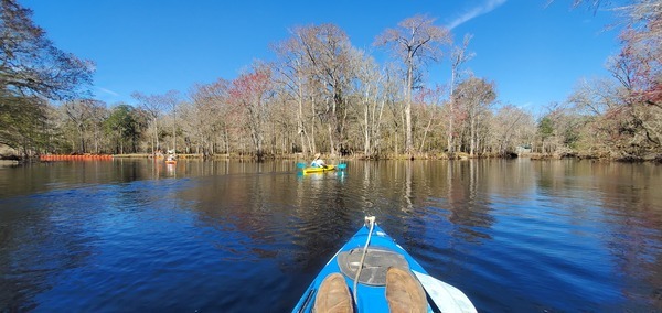 [New swimming barrier at Rum Island County Park, 12:17:55, 29.8326064, -82.6780785]