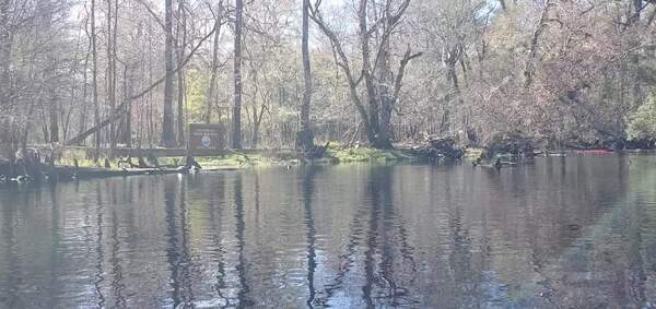 [Movie: Gilchrist Blue Springs State Park, 12:22:57, 29.8328409, -82.6810357 (28M)]